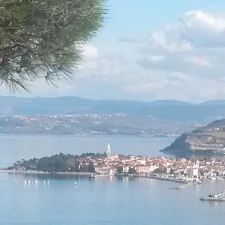 Laguna 22